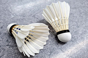Badminton - Abteilungsfeier, Testspiel